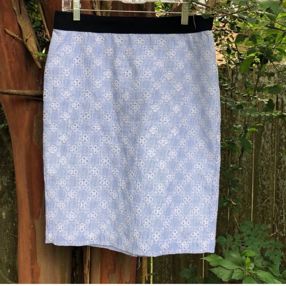 Ann Taylor Eyelet Lace Seersucker Skirt